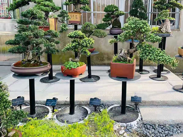 Solar garden spike light