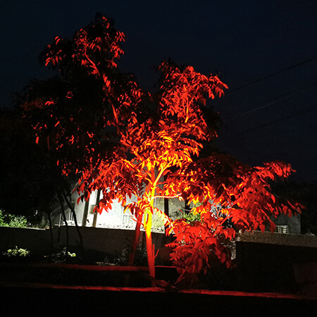 Solar garden spotlight application