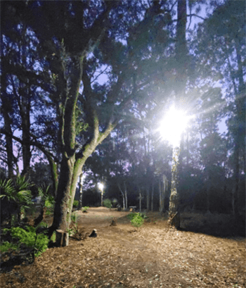 flood light application flood light application