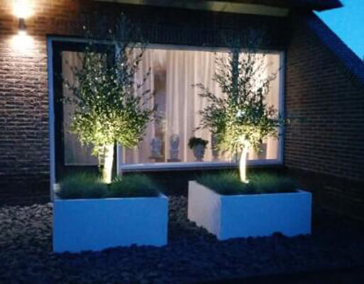 solar garden spotlight tree